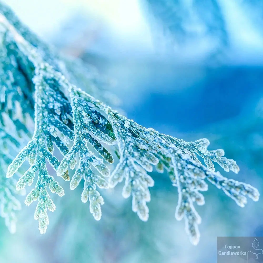 Northern Lights Tappan Candleworks